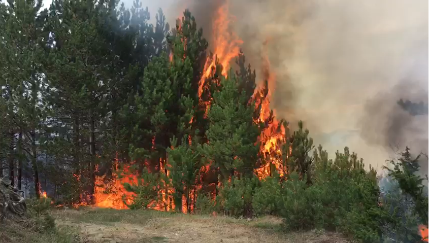 Përmirësohet situata nga zjarret në vend, MM: 3 vatra aktive, 6 mbahen nën monitorim